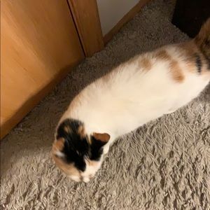 Meet your Posher, Sandi